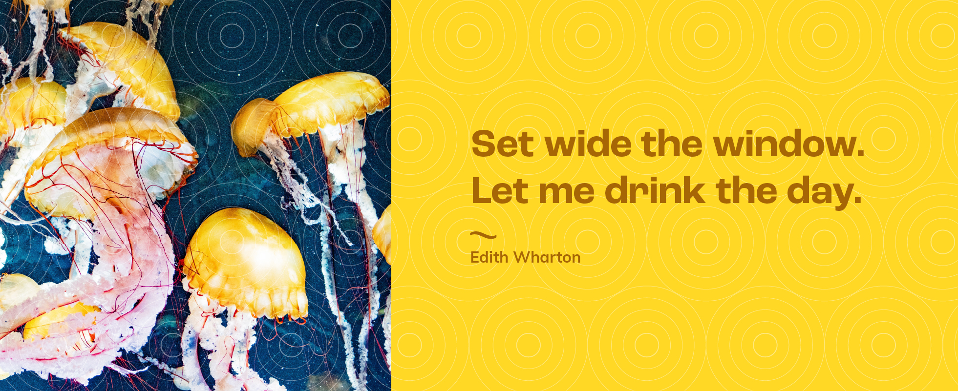 Quote Image - Desktop Image